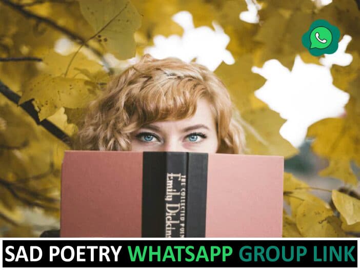sad poetry whatsapp group link